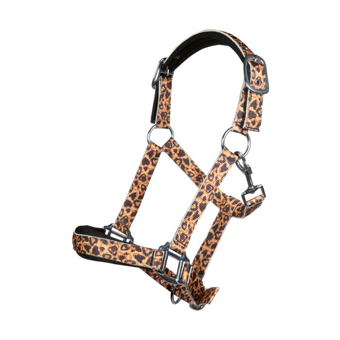 Halster Color Breeze