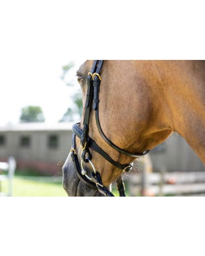 Hoofstel Basic met messing