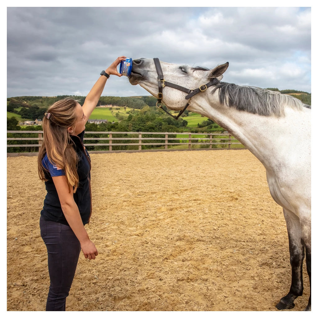 Horslyx Orginal mini