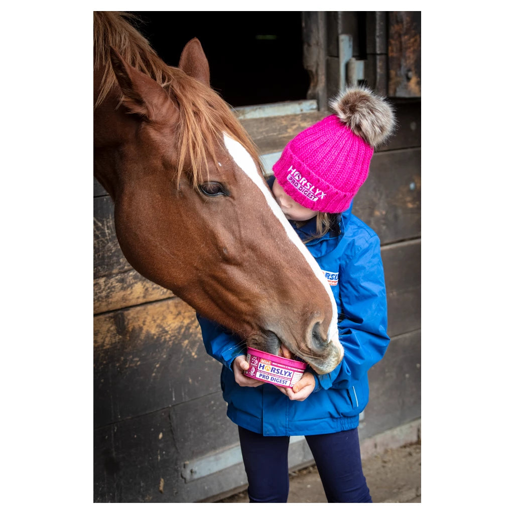 Horslyx Pro digest mini