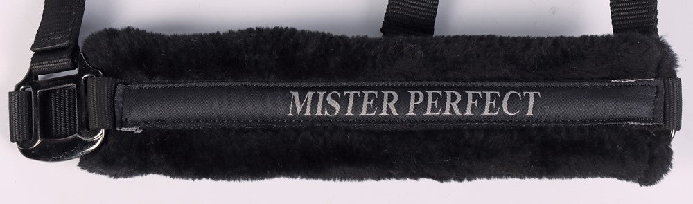 Halster Lyrics Zwart "mister perfect"