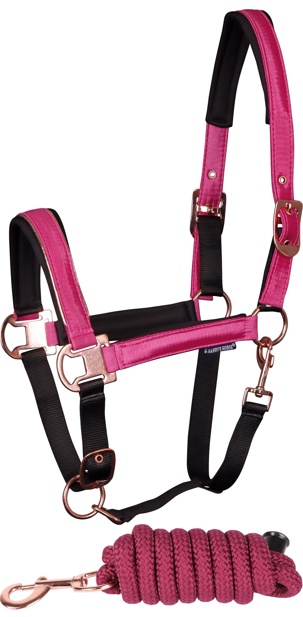 Halsterset El Pinto Cactus flower