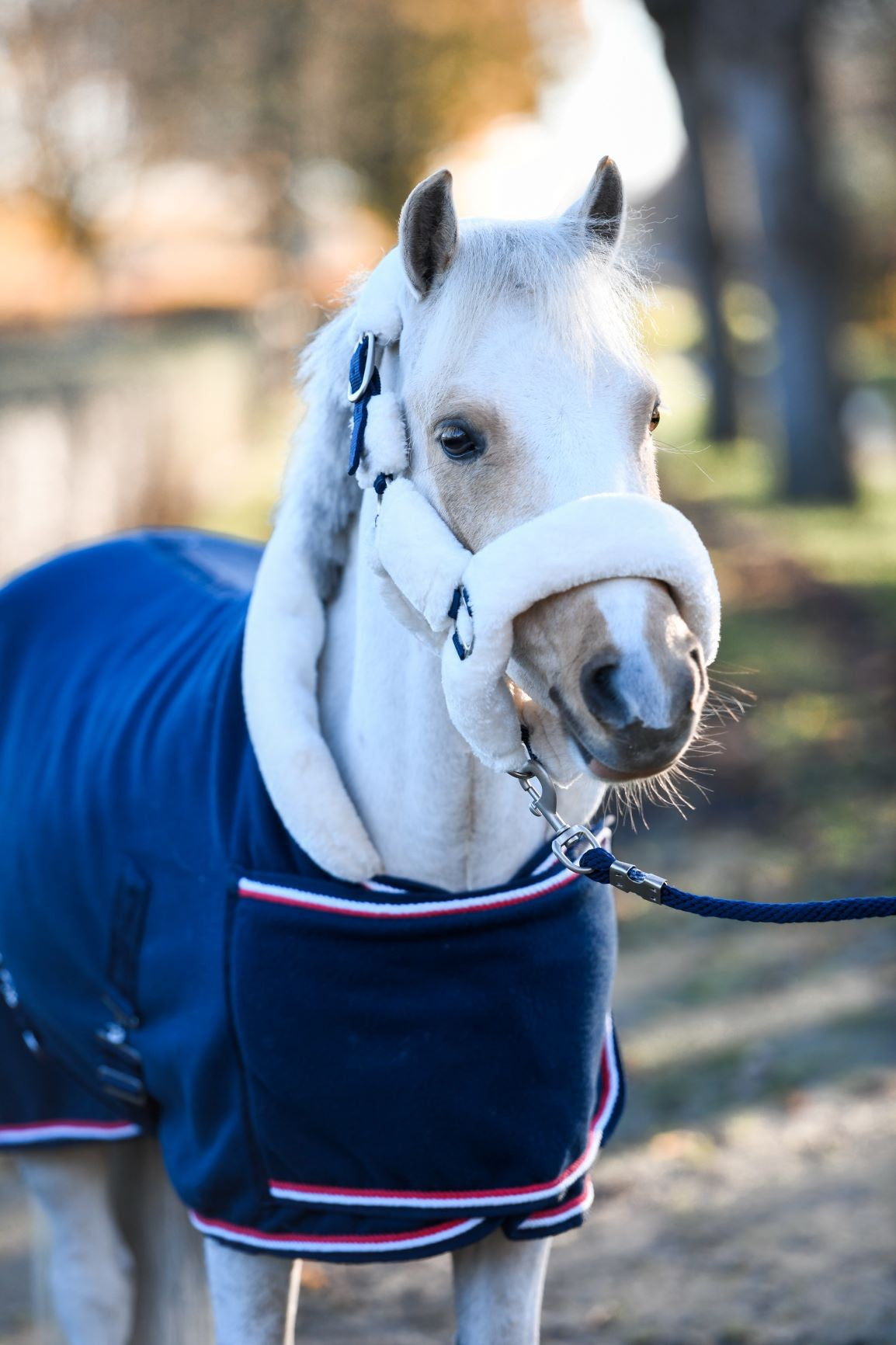 Luxe Fleece Show deken Dutch Crown