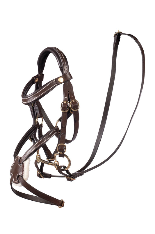 Hobby Horse Mexicaans hoofdstel